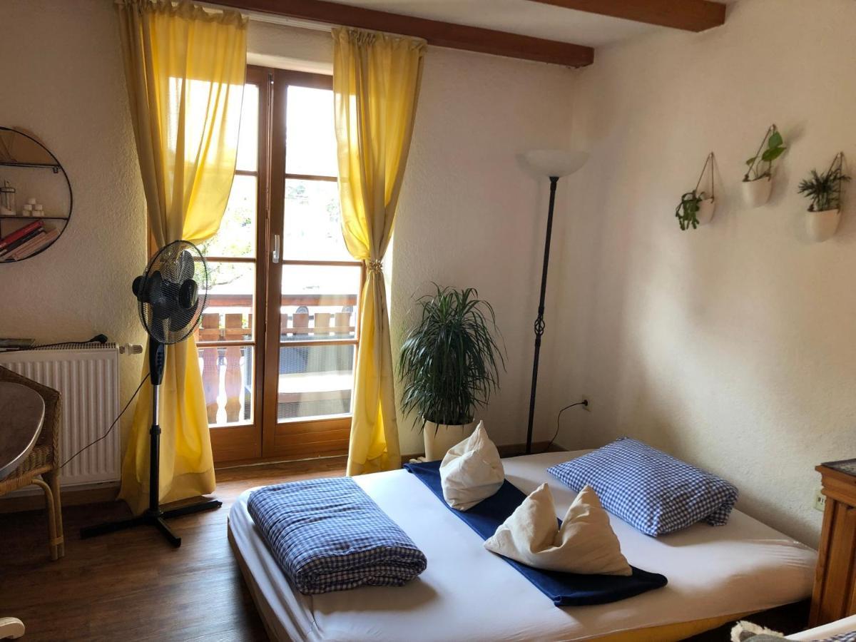 Ferienwohnung Sonne شلينغين المظهر الخارجي الصورة